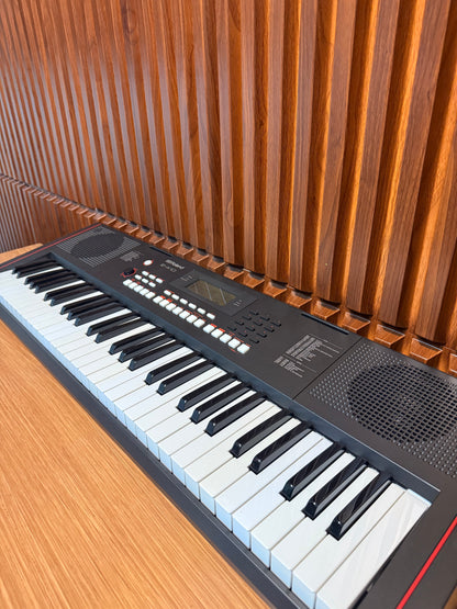 Teclado arreglista Roland E-X10