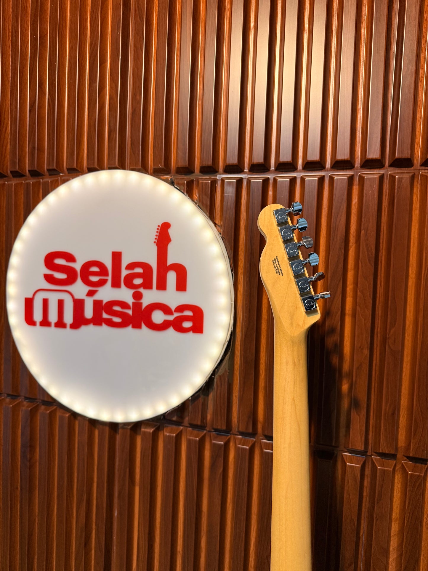 Guitarra Eléctrica Fender Standard Telecaster Blanca