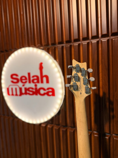 Guitarra PRS SE Silver Sky Dandy Lion