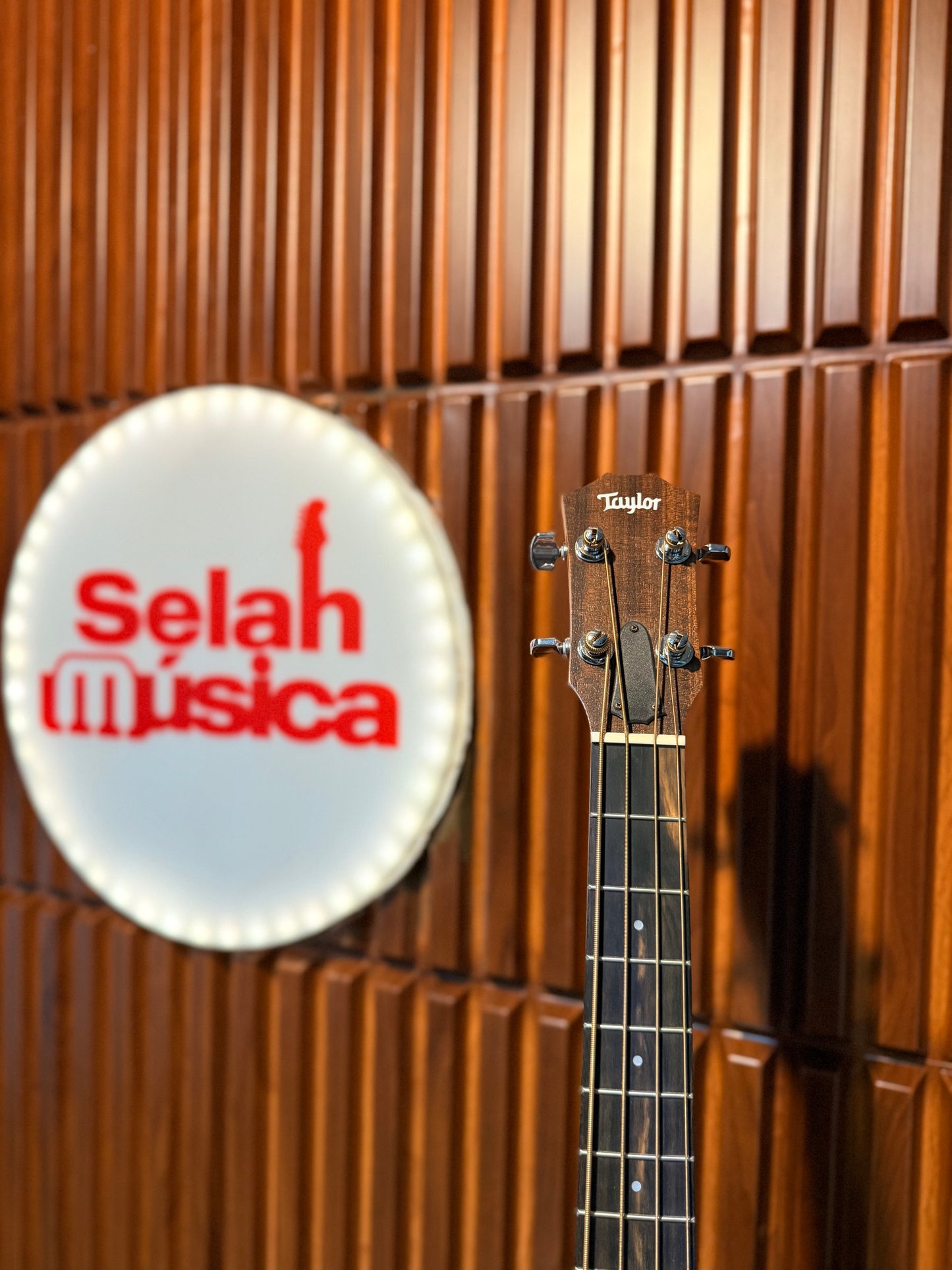 Bajo electroacústico Taylor GS Mini-e Bass