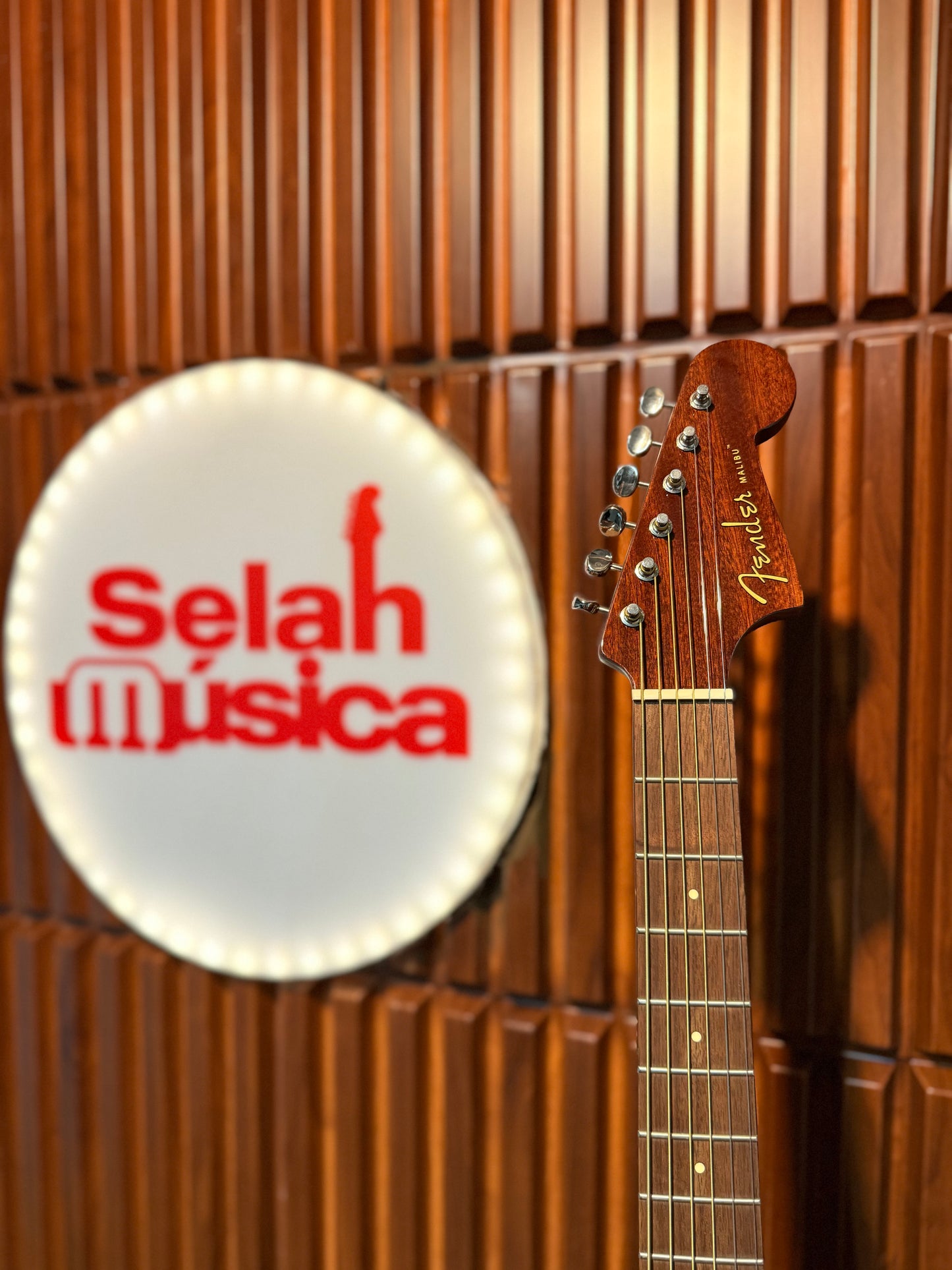 Guitarra electroacústica Fender Malibu Player – Natural