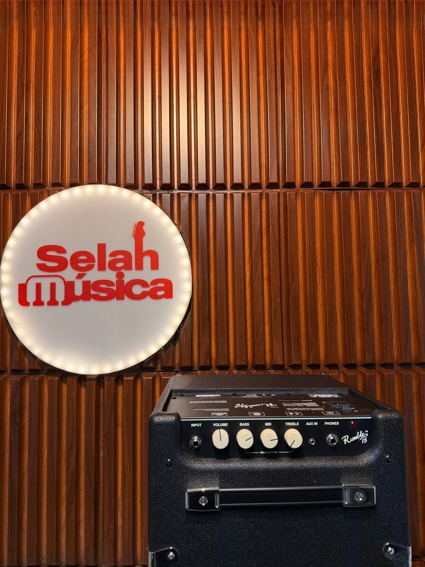 Amplificador para bajo Fender Rumble 15