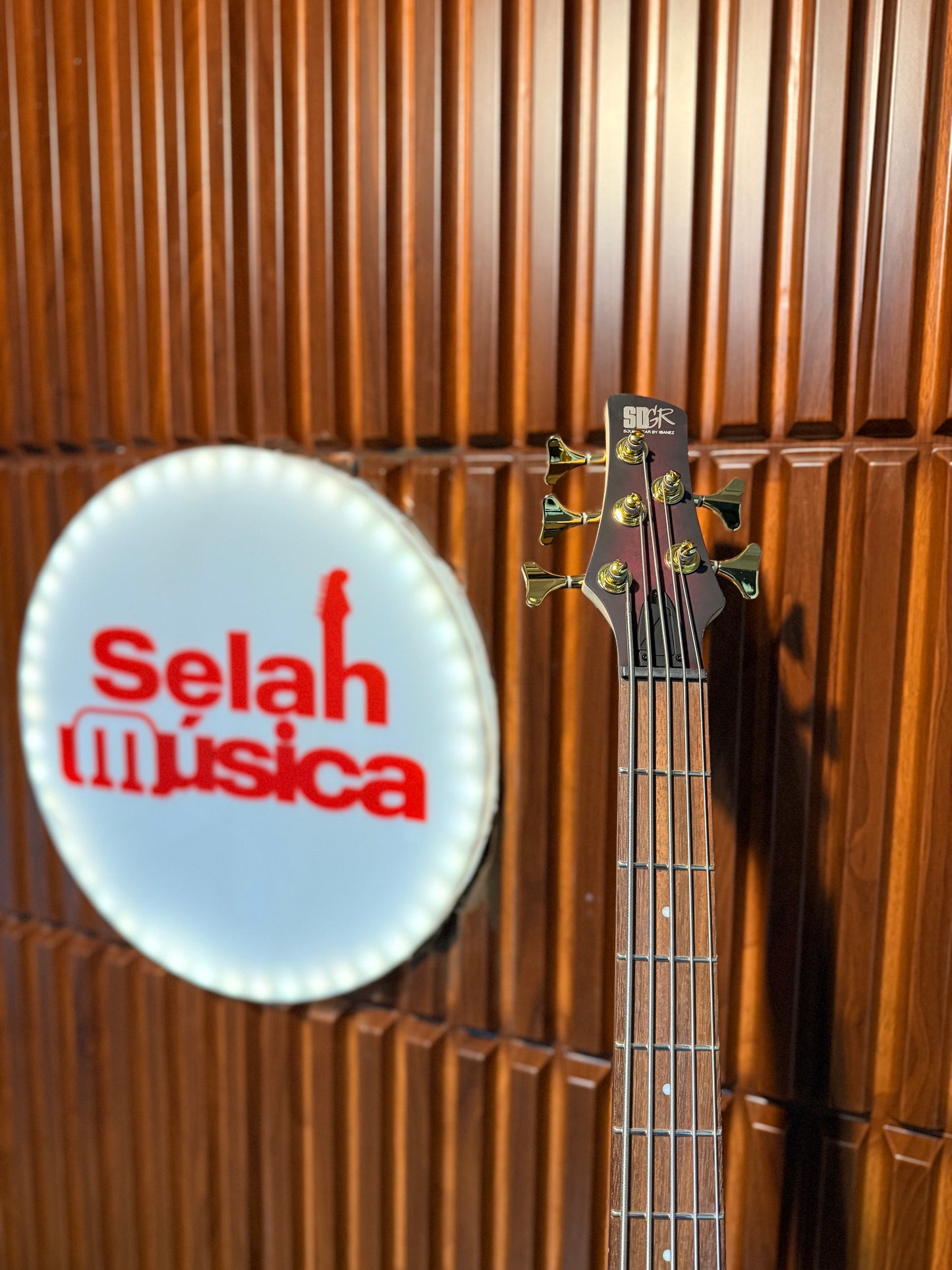 Bajo Eléctrico de 5 Cuerdas Ibanez SR305EDX WZM Wine Red Frozen Matte