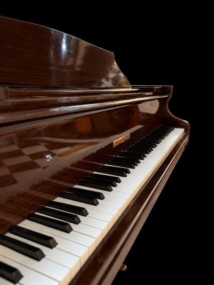 Piano Acústico Strauss 1/8 de Cola