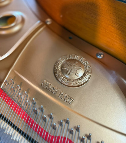 Piano de Cola Yamaha GB1K