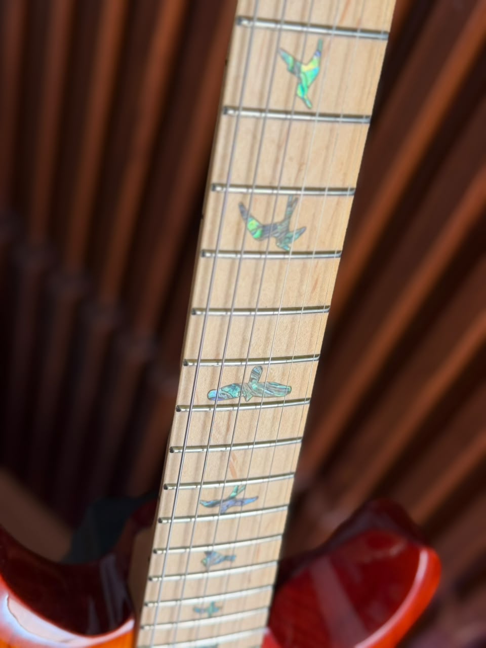 Guitarra Eléctrica PRS SE Swamp Ash Special, Vintage Sunburst,