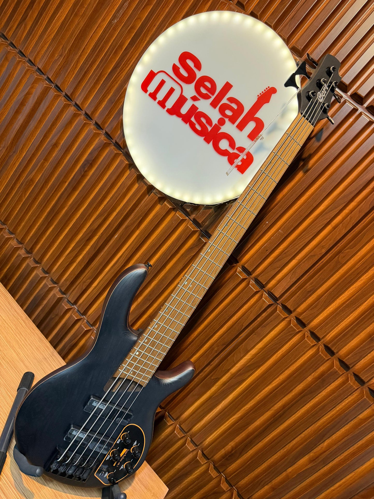 Bajo cort b5